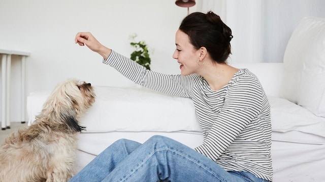 portrait of a young adult woman communicating with her dog