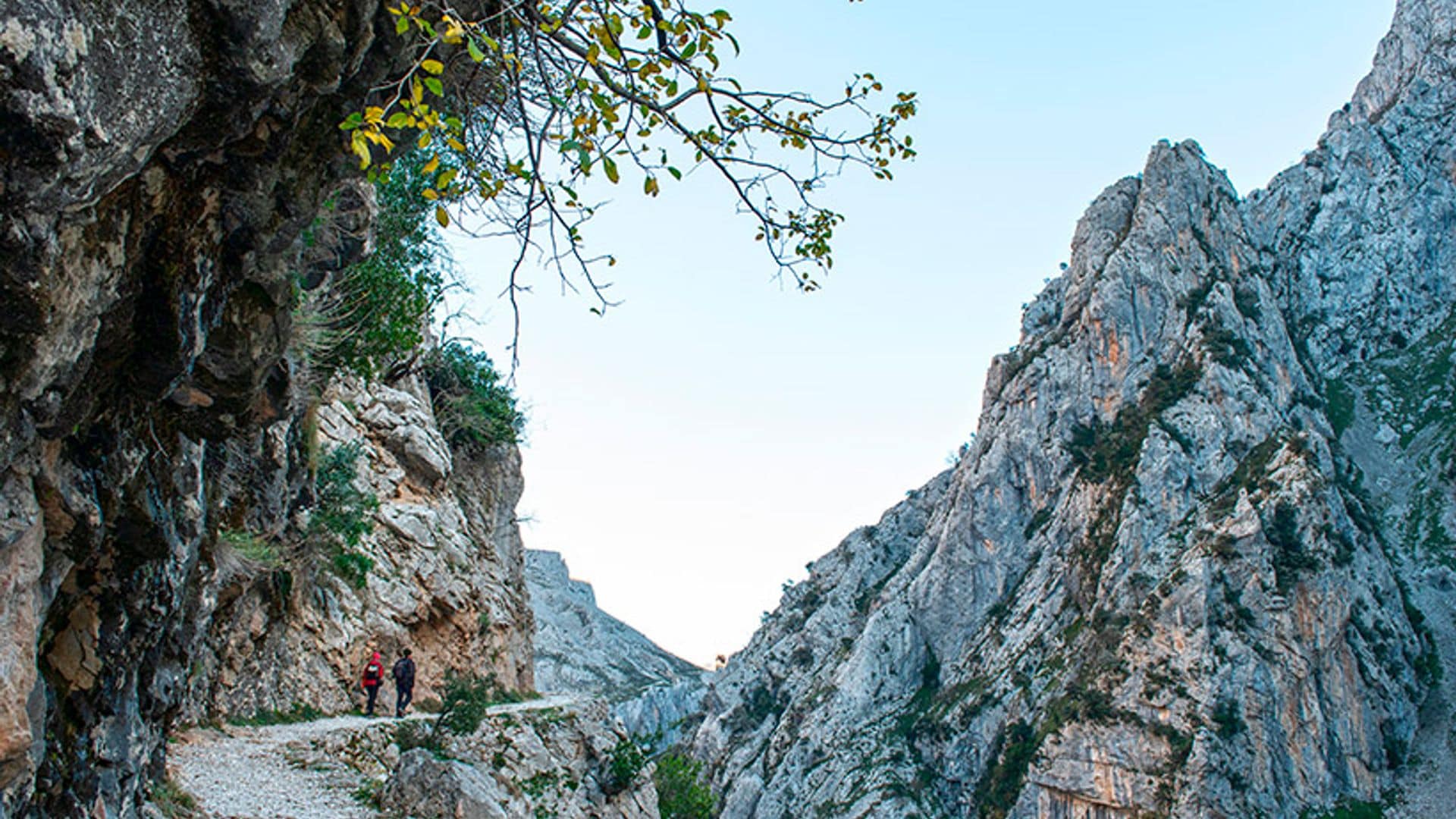 Tres valles de León rebosantes de naturaleza donde cargar las pilas este otoño