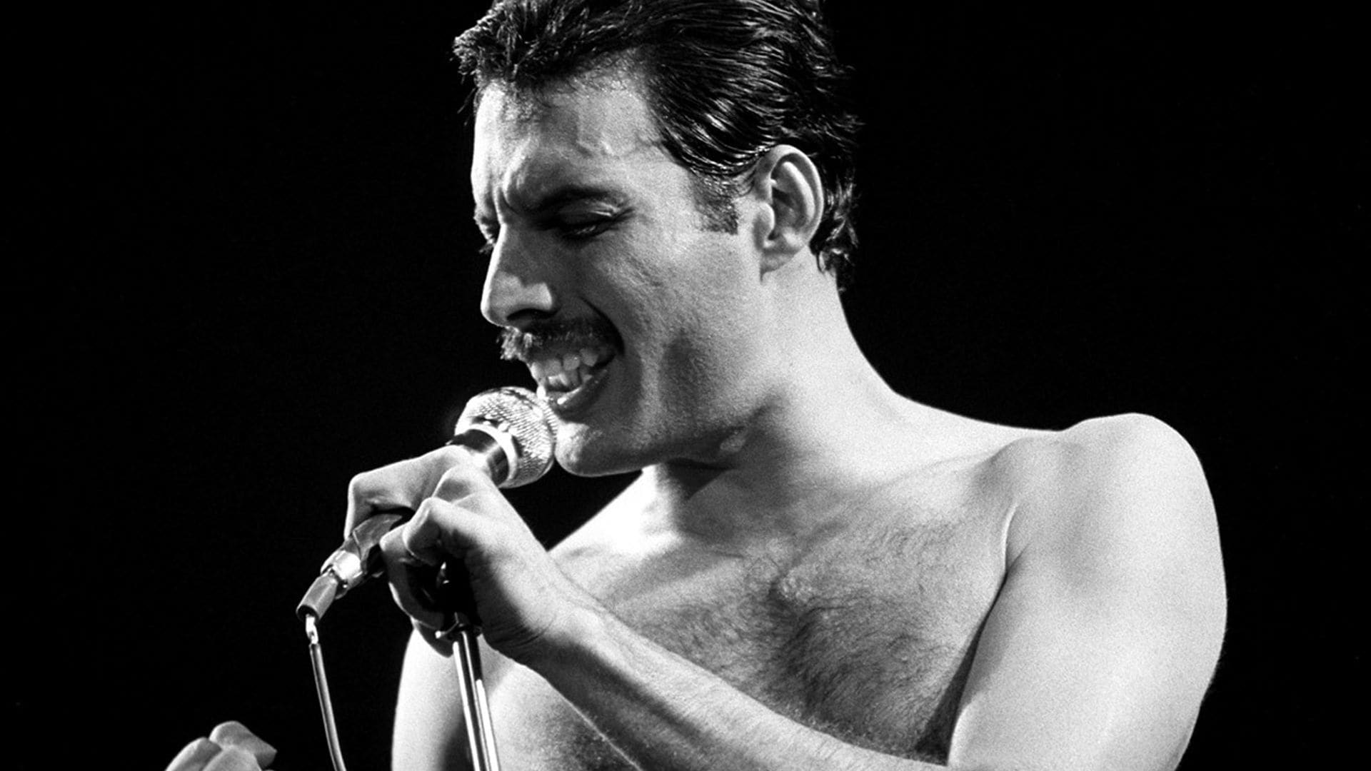 Así es Marc Martel, el 'doble' de Freddie Mercury que se ha convertido en una auténtica estrella