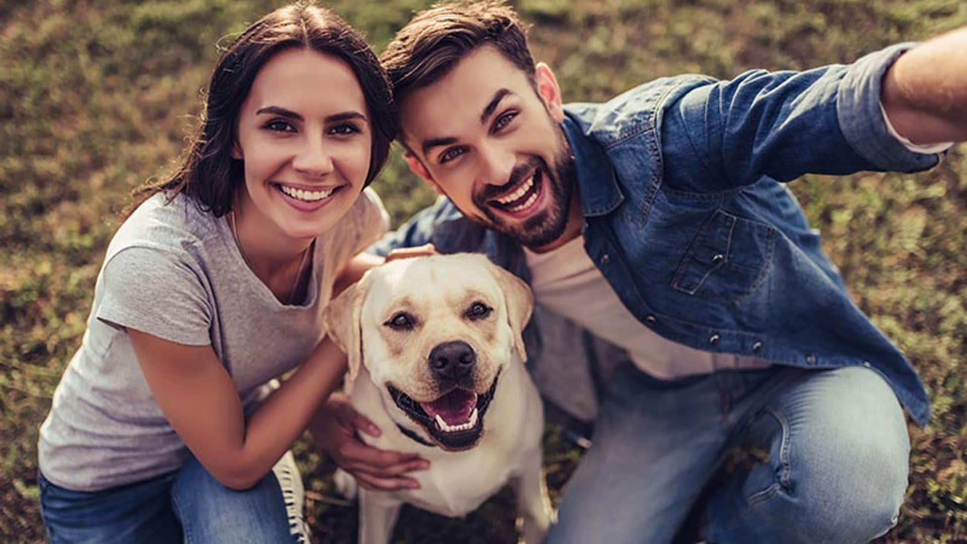 Si te divorcias, ¿quien se queda el perro o el gato?