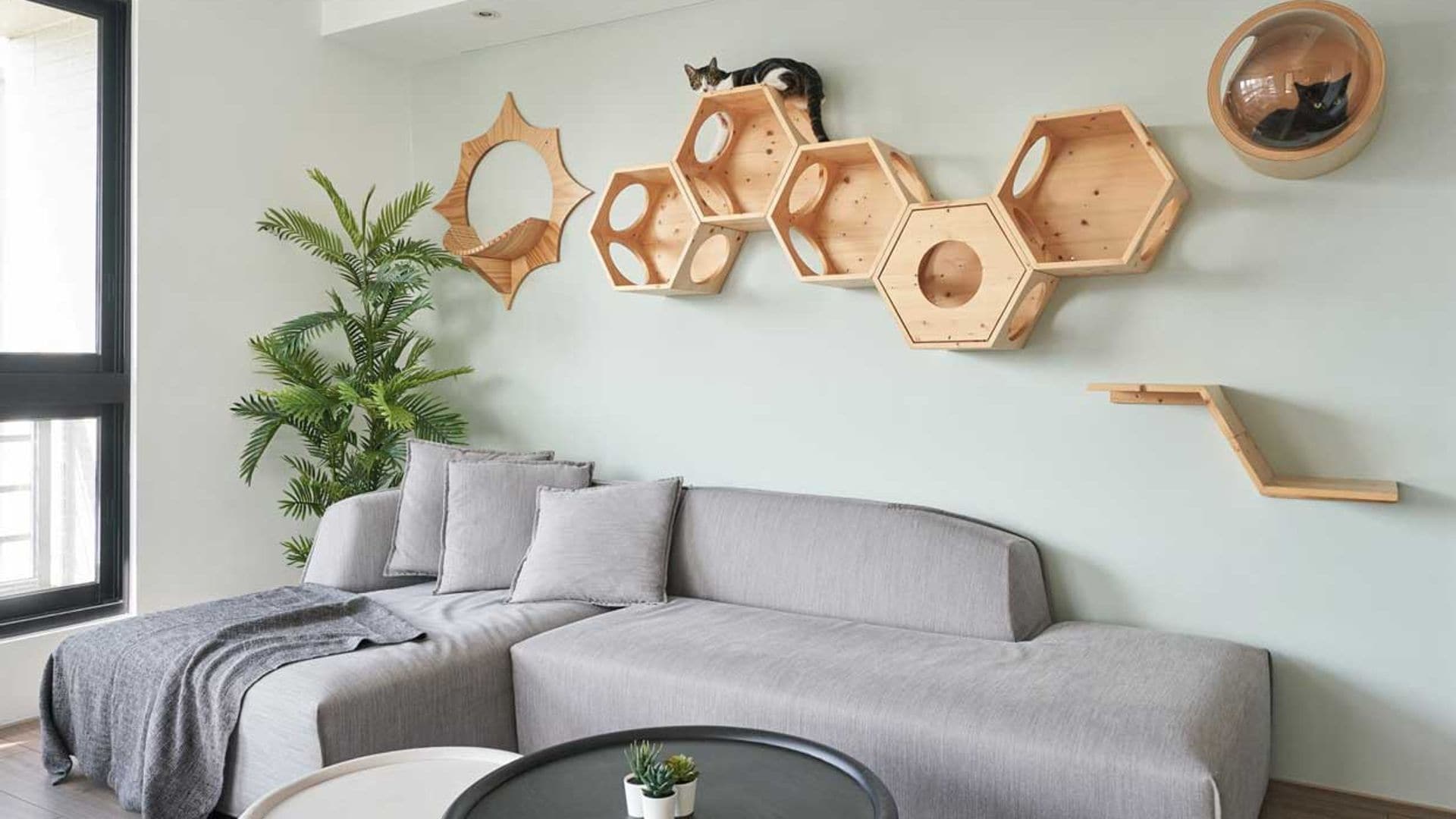 Muebles y accesorios para tener una casa 'pet friendly'