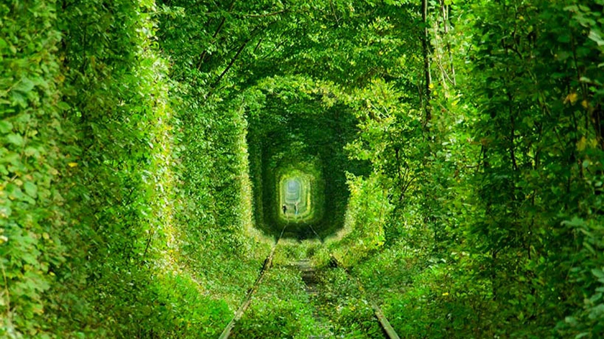 El túnel del amor, el preferido de los enamorados