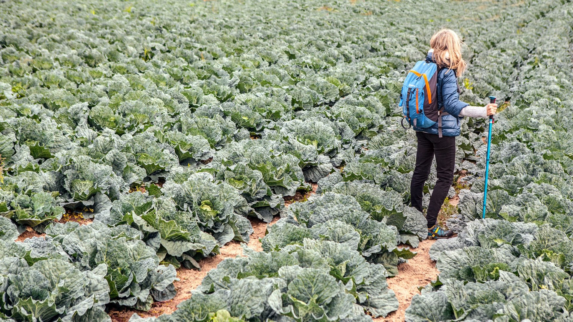 5 destinos y 5 planes gastronómicos para ir del campo a la mesa