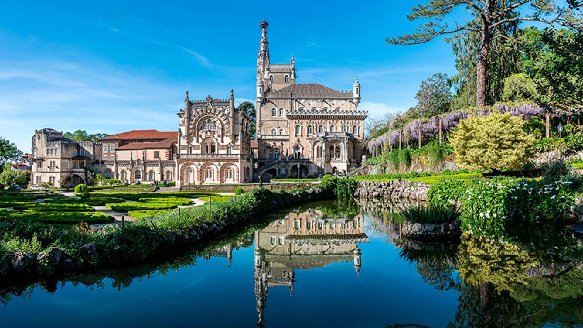 Bussaco, un bosque encantado que esconde el palacio más lujoso de Portugal