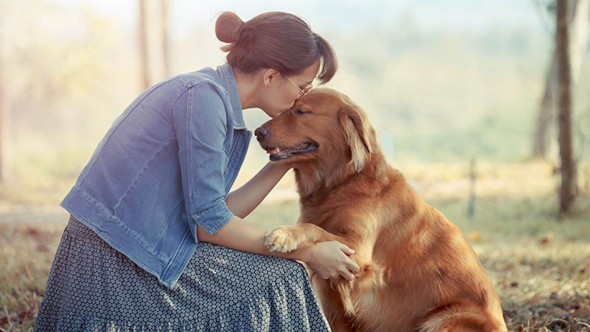 Las mejores razas de perro si sufres depresión