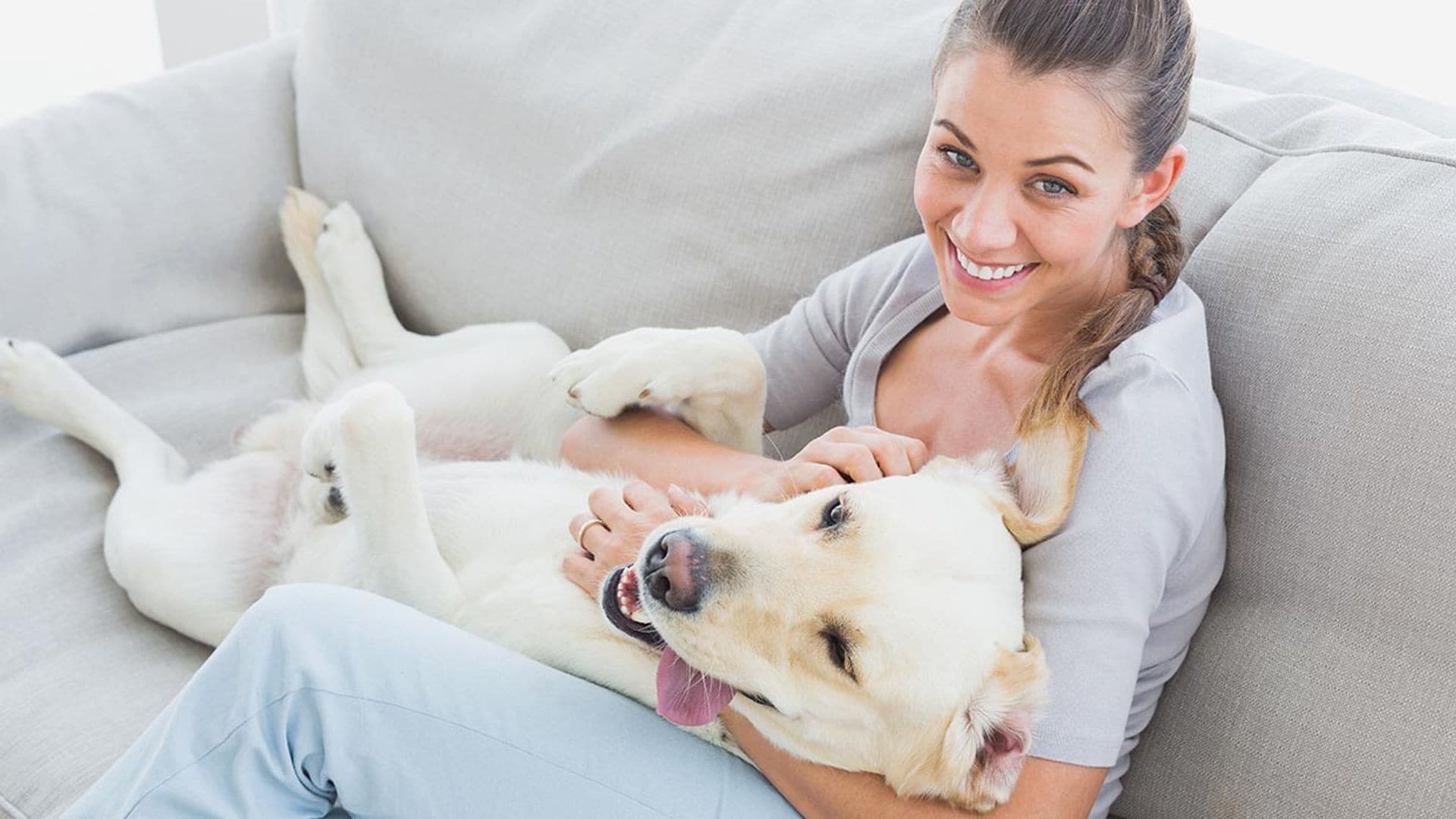 Así es como los perros ayudan a paliar la depresión humana