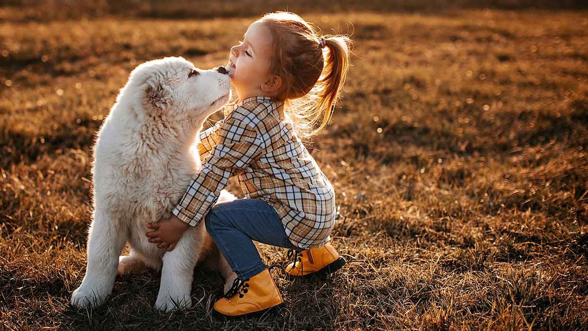 Cómo educar a los niños y a los perros para que interactúen sin problema