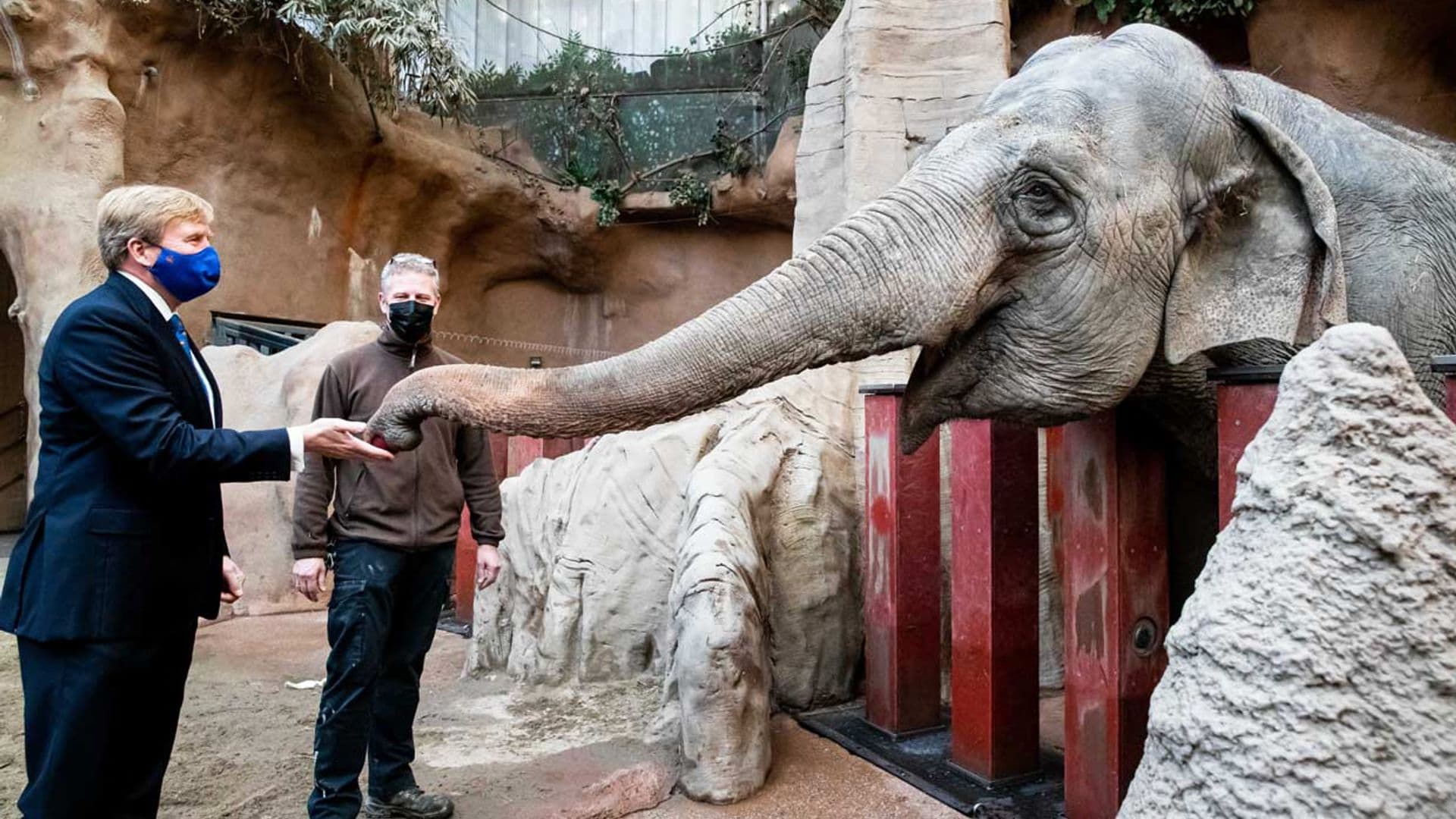 Tú al zoo y yo a un premio de danza: Guillermo y Máxima de Holanda protagonizan las fotos más divertidas