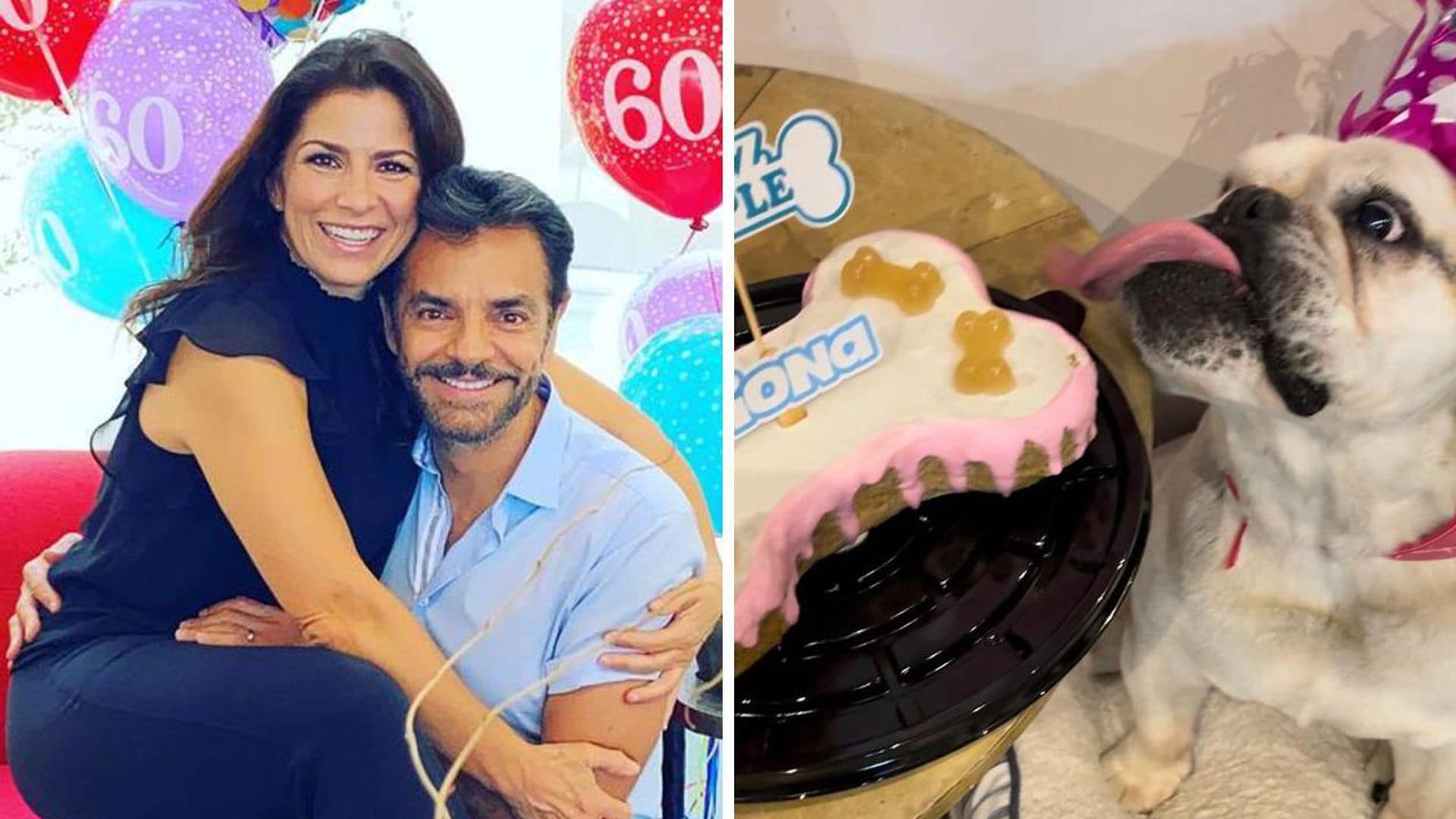 Con pastel y ‘Las Mañanitas’, Eugenio Derbez celebra el cumpleaños de su perrita, Fiona