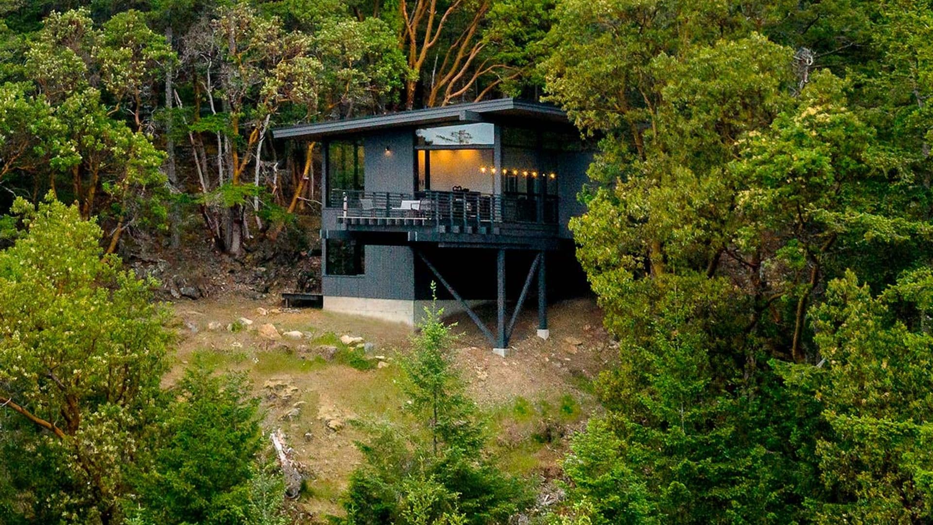 Una casa de diseño integrada en el bosque: sobre rocas y entre árboles