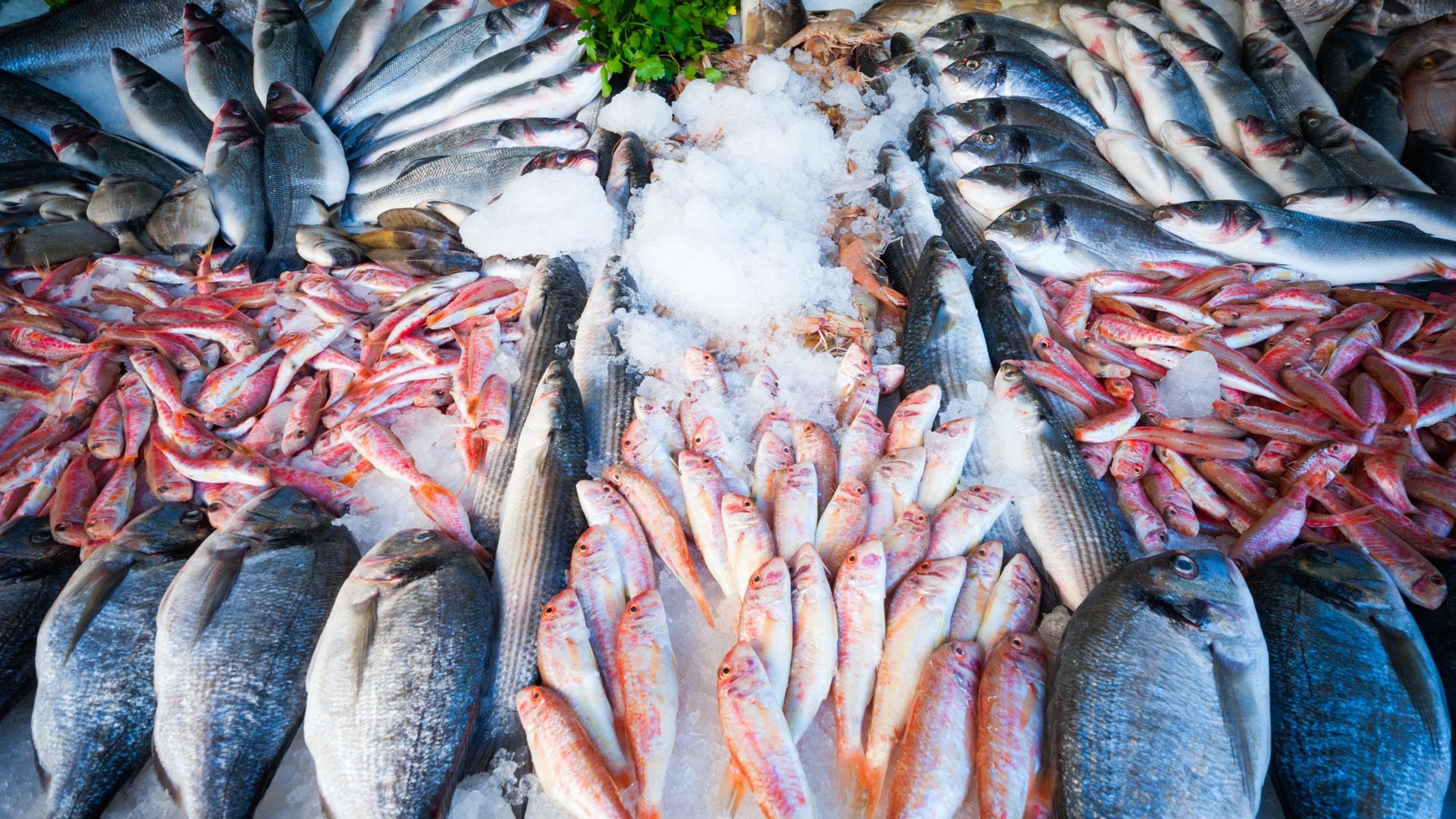 Pescado salvaje y pescado de crianza, dos alternativas igual de válidas