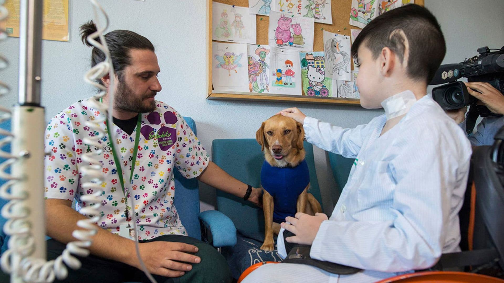 Perros terapeutas, un proyecto pionero en el hospital Materno Infantil de Granada