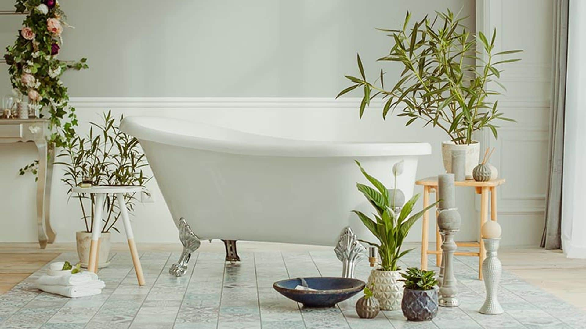 Plantas para tu cuarto de baño