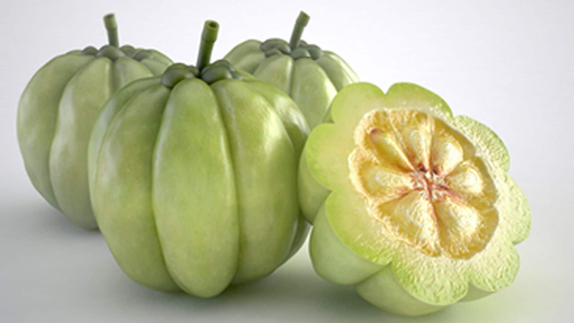 garcinia cambogia