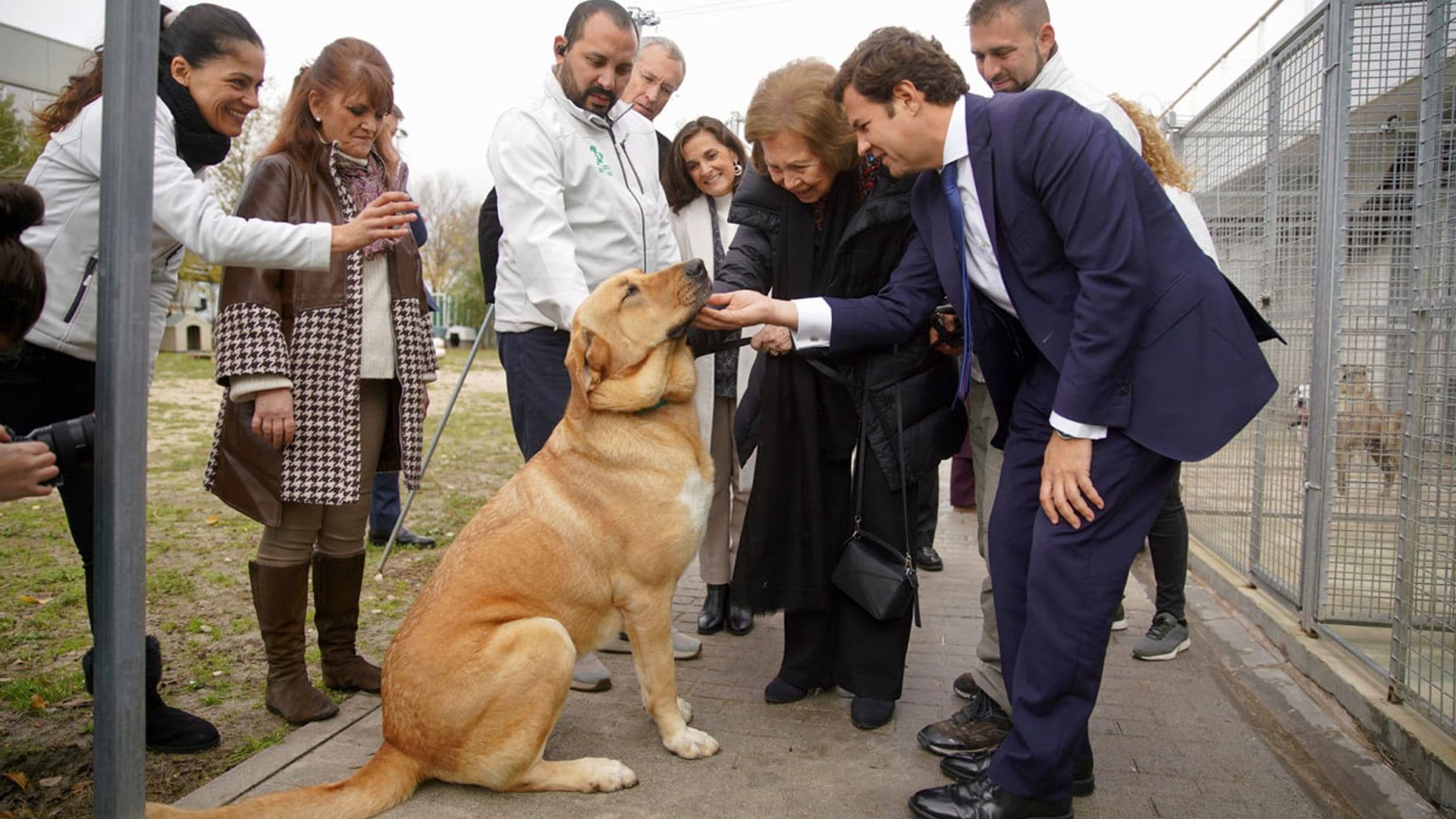 Las simpáticas imágenes de doña Sofía en su visita al centro municipal de protección animal de Las Rozas