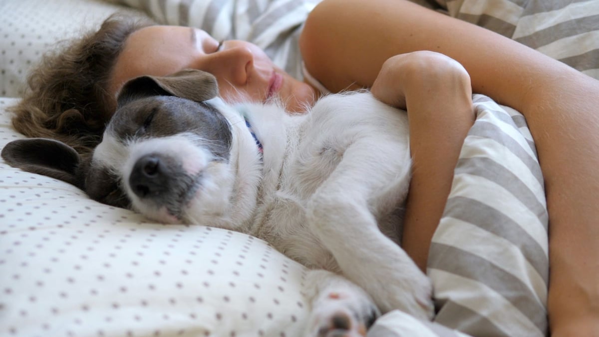 Dormir con tu perro: 9 motivos para que no lo hagas