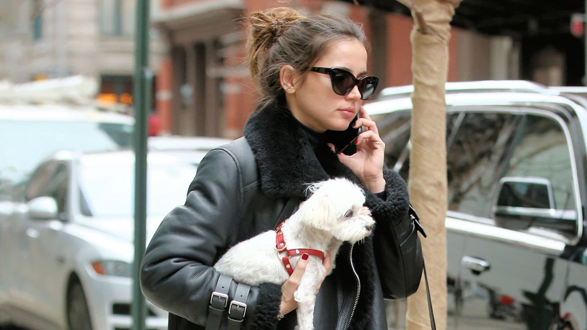 Los mejores looks de las 'celebrities' para pasear al perro o hacer la compra