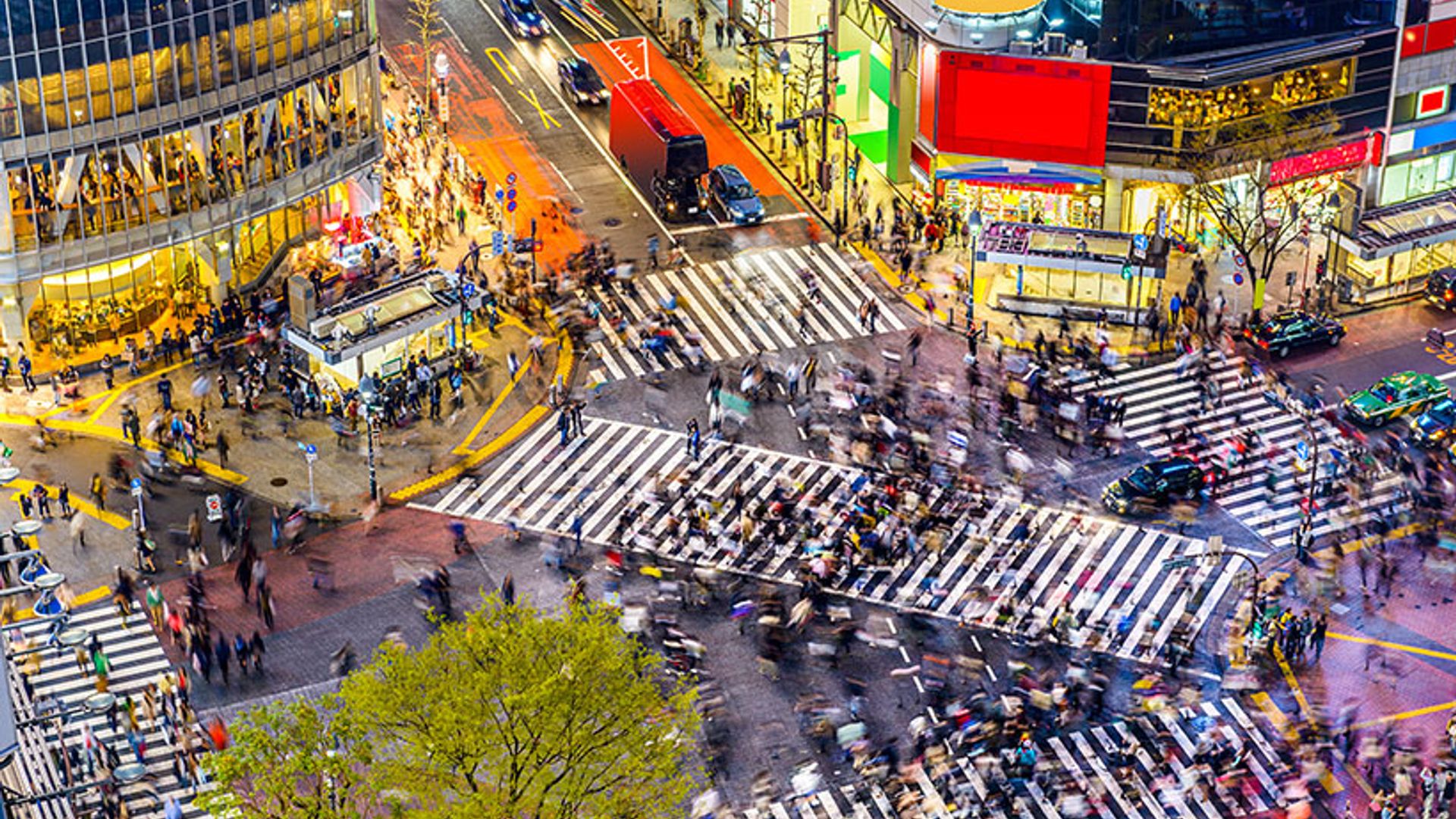 Tokio barrio a barrio, del glamour de Ginza a las alturas de Shinjuku