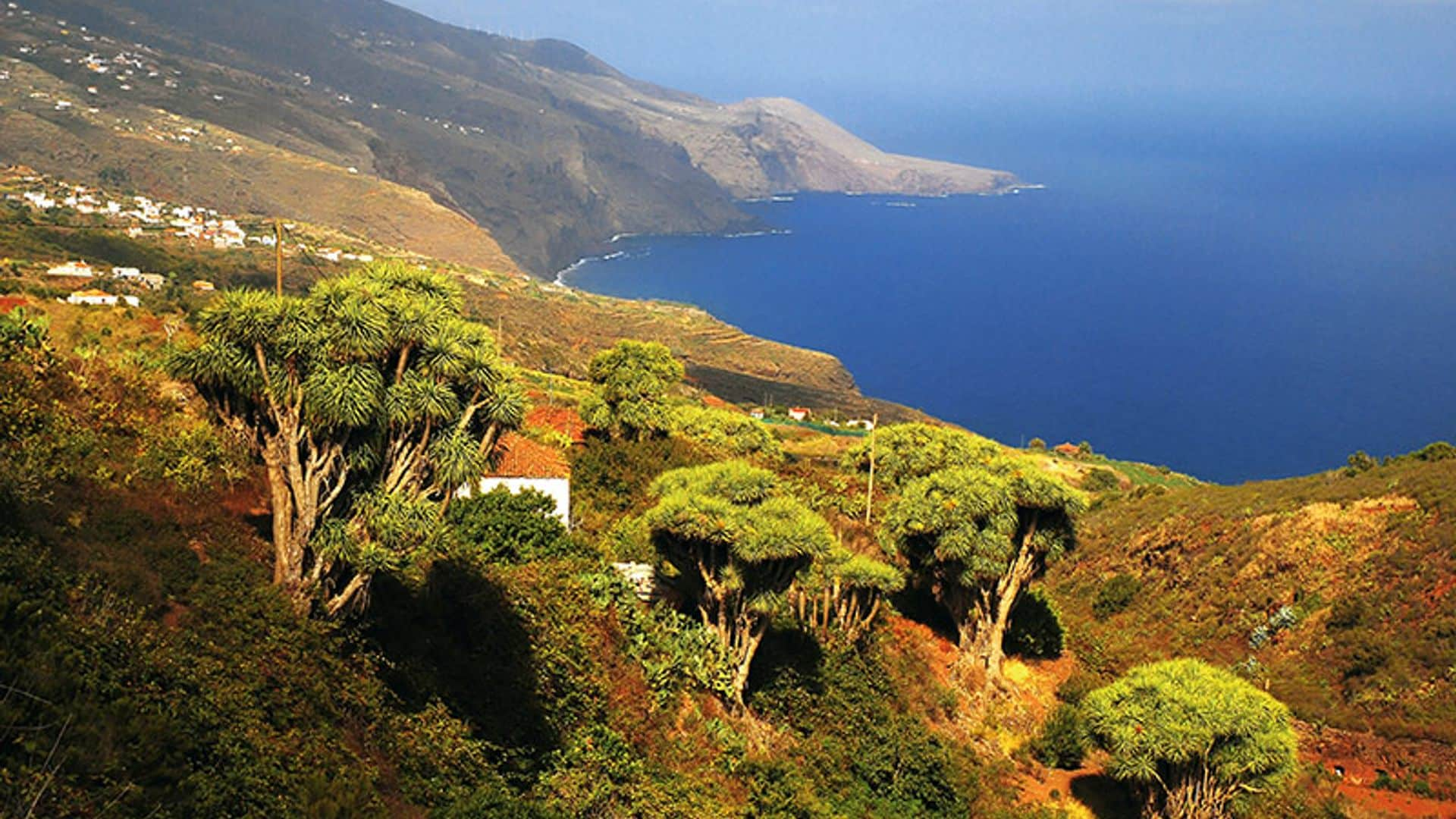 Planes imprescindibles en La Palma