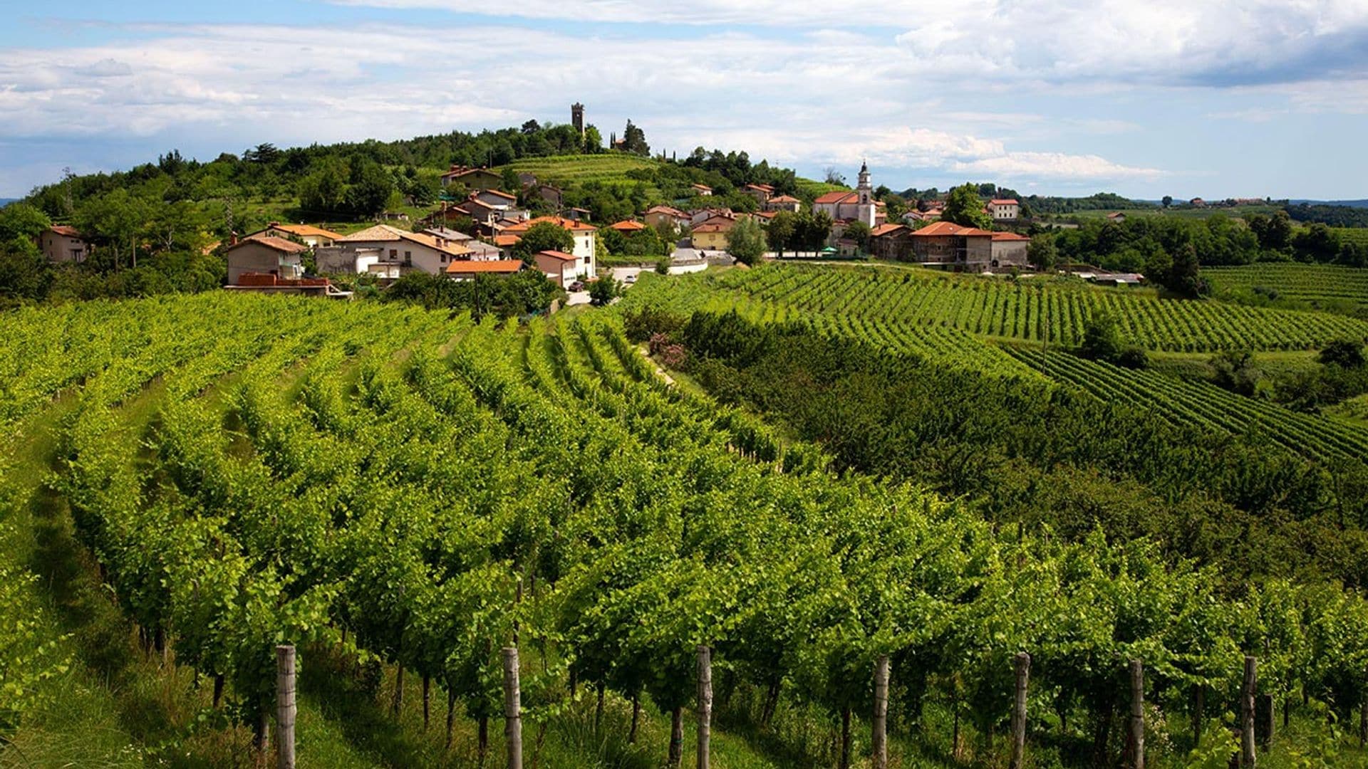 Nos vamos de ruta por Goriska Brda, la Toscana eslovena 