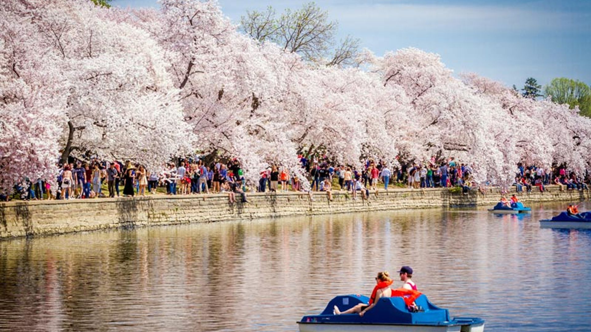 Descubriendo Washington D.C en primavera, los imprescindibles en la capital de Estados Unidos