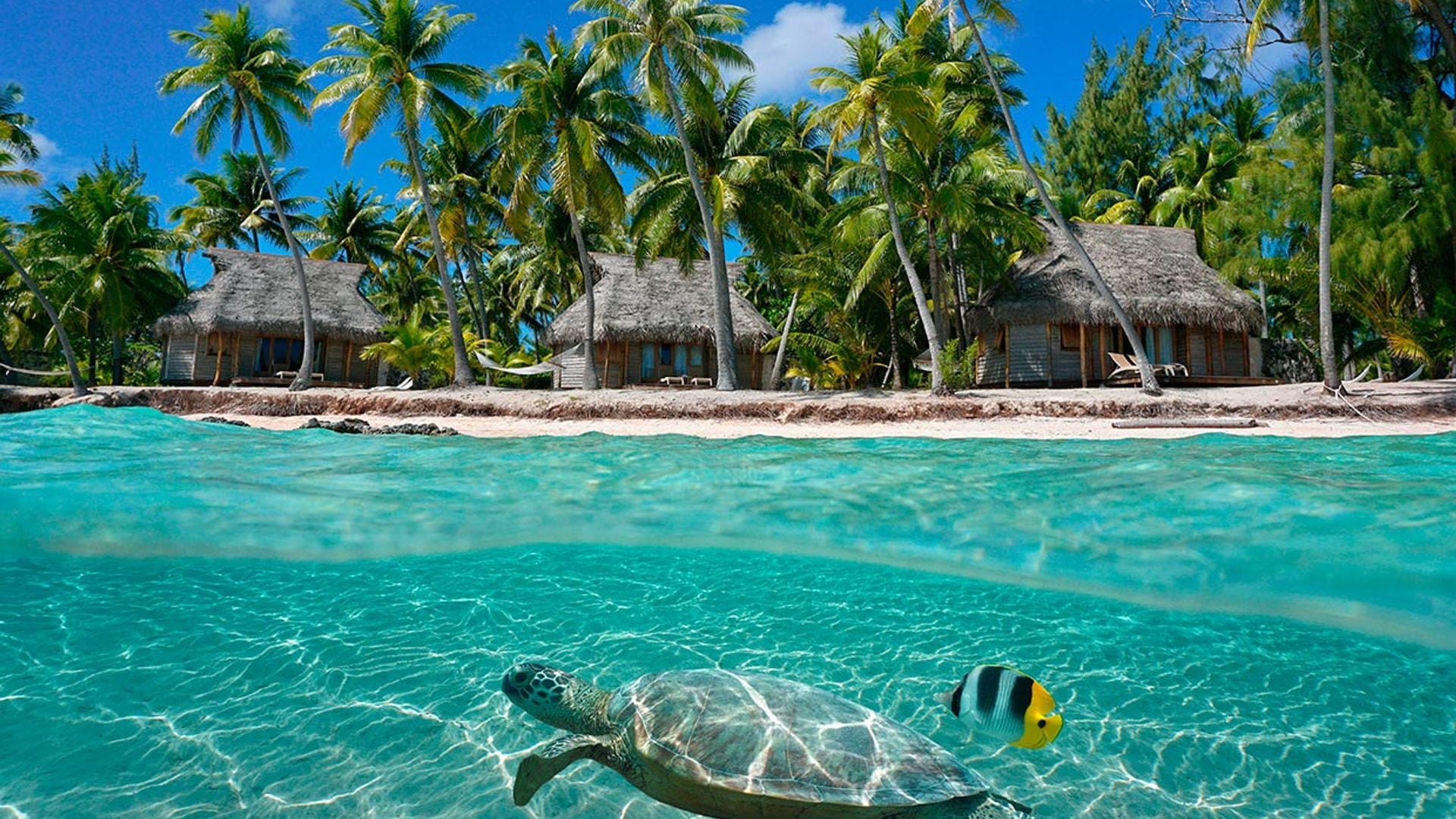 El archipiélago de las Tuamotu o el paraíso perdido de la Polinesia