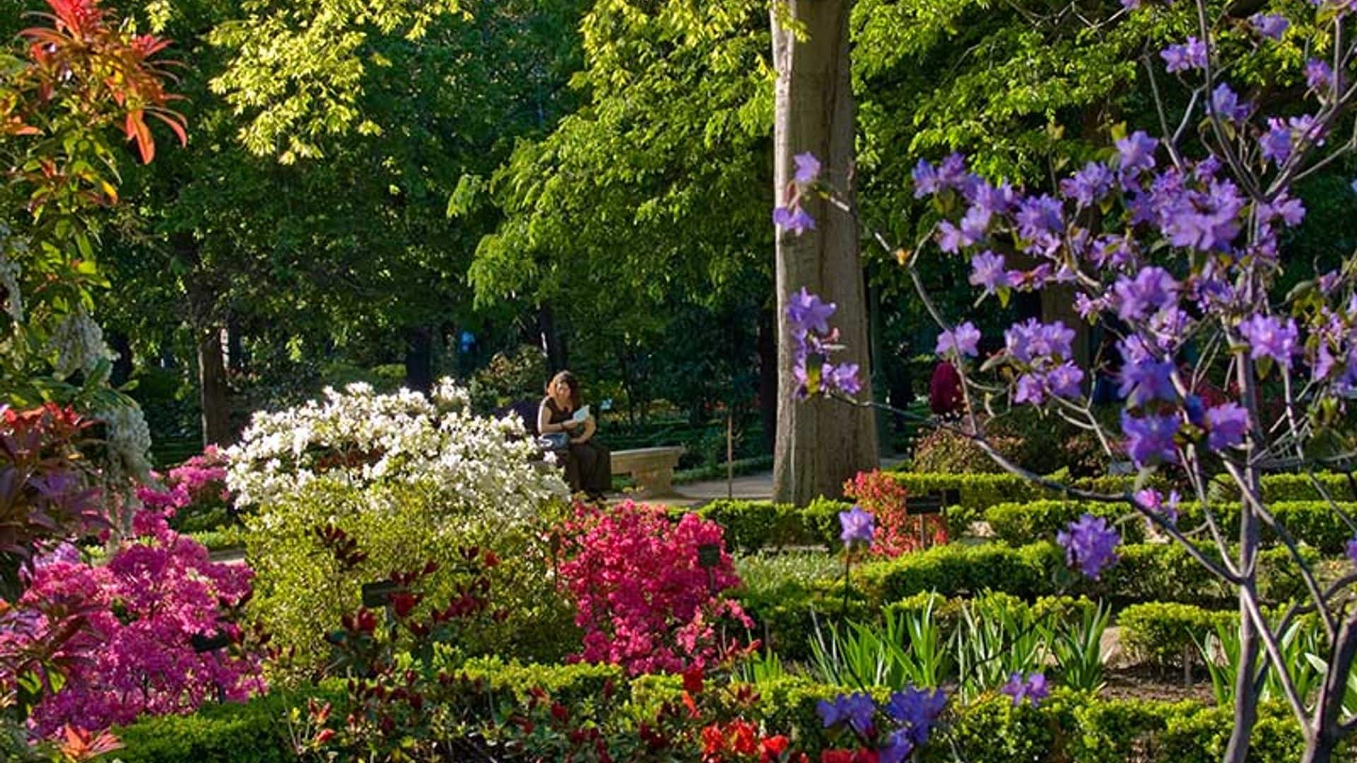 Planes y más planes para disfrutar de la primavera en Madrid