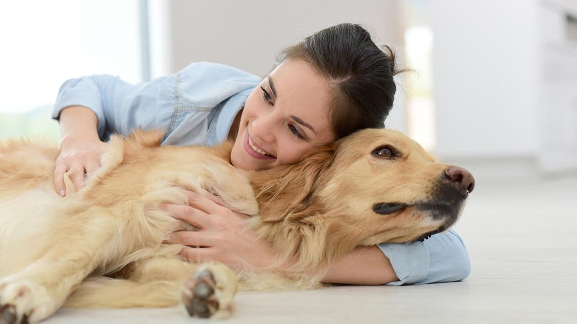 Contra la tensión, abraza a tu perro