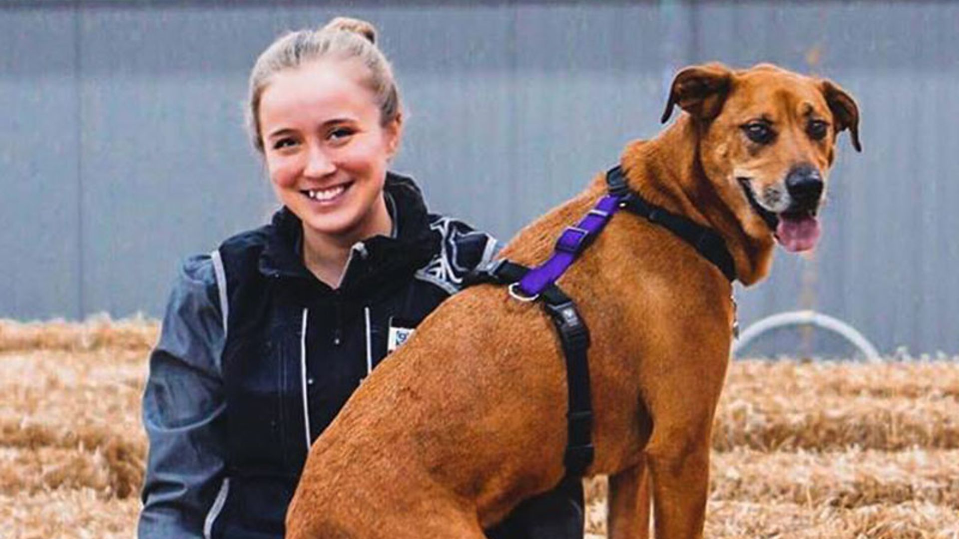 La bonita historia de cómo un perro evita un ataque de ansiedad de su dueña