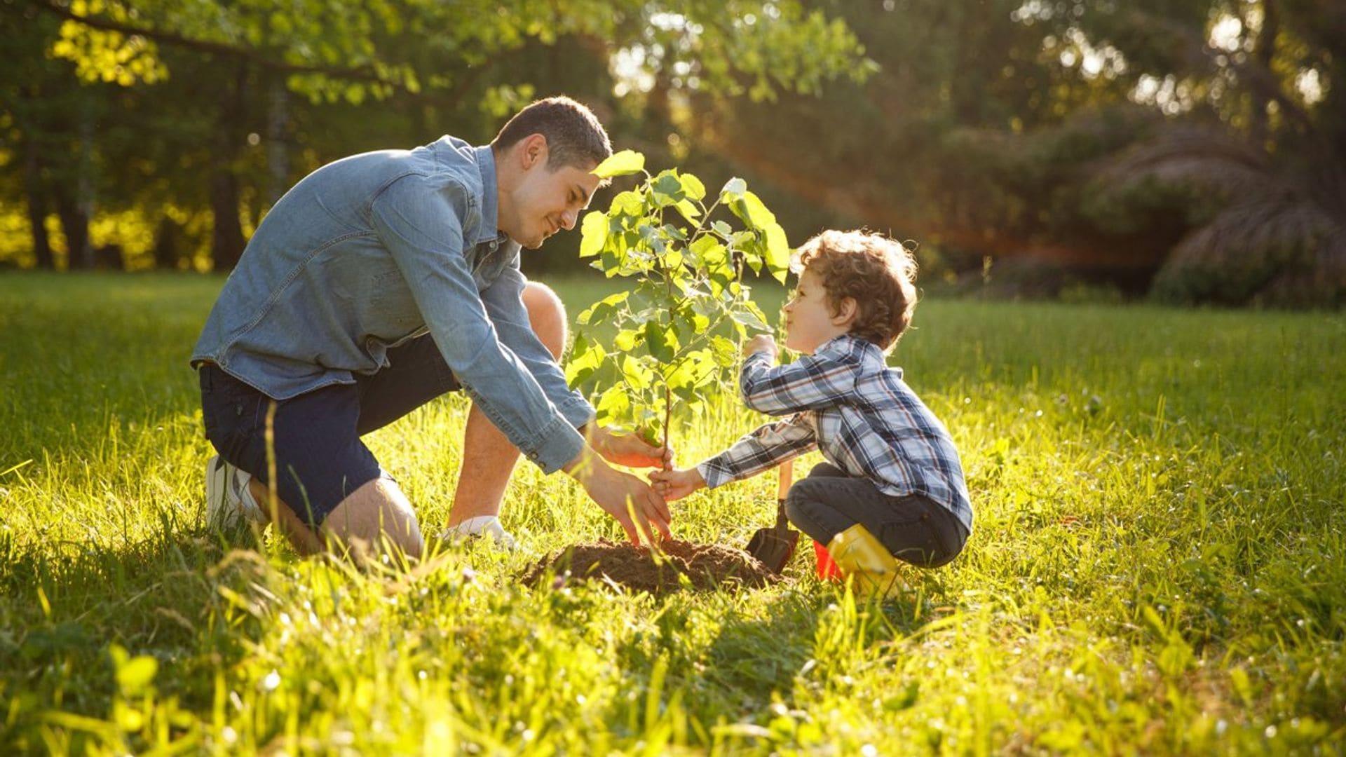 10 cosas que puedes enseñarles a tus hijos para que cuiden el medio ambiente