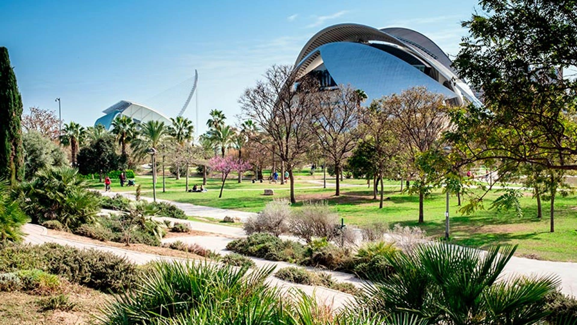 Planes en la Ciudad de las Artes y las Ciencias más allá de los Goya