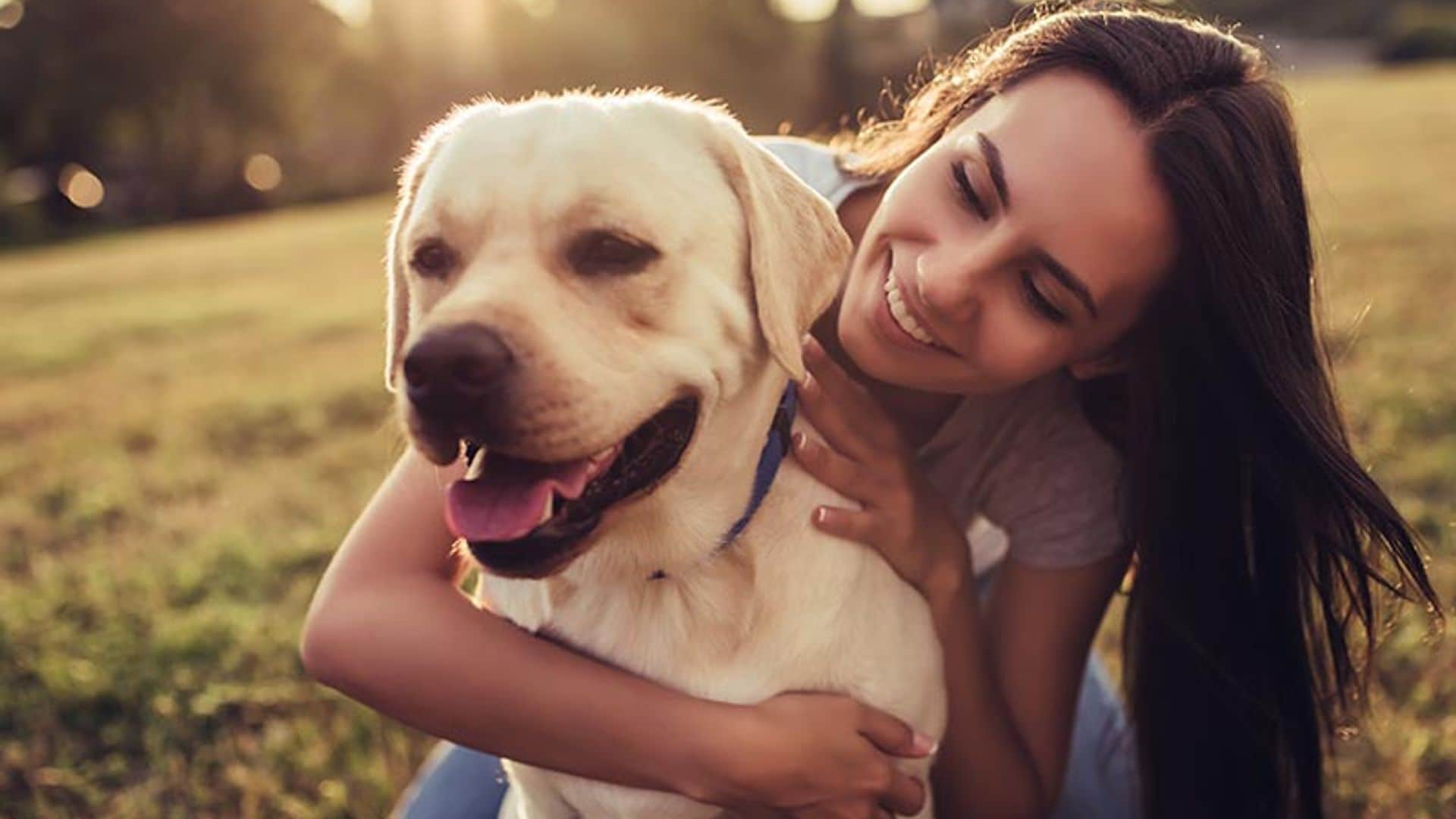 El contacto físico con tu perro es muy importante