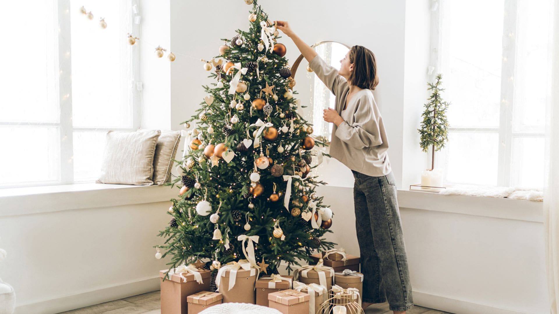 Nuestras expertas te ayudan a elegir el mejor árbol de Navidad para tu casa