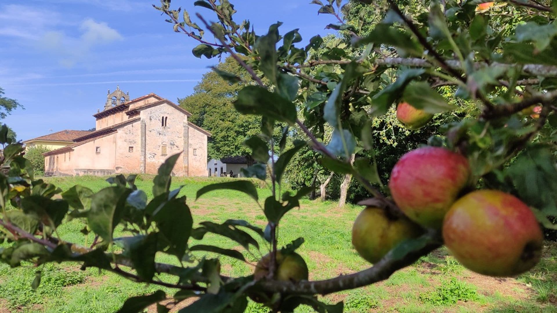 Cultura sidrera, Comarca de la Sidra, Asturias