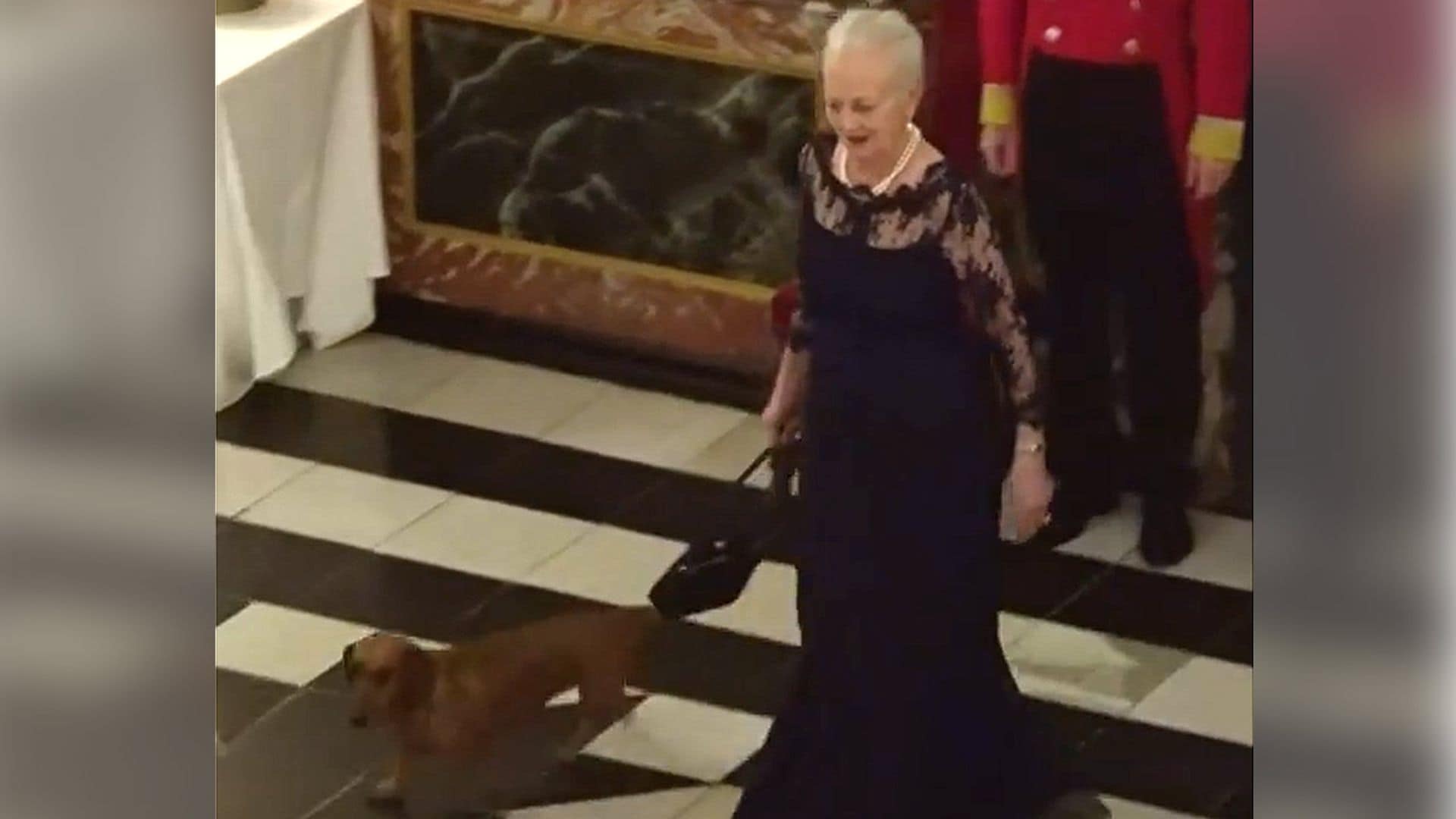 ¡Lo nunca visto! El perro de Margarita de Dinamarca, inesperado protagonista en una cena de gala en palacio