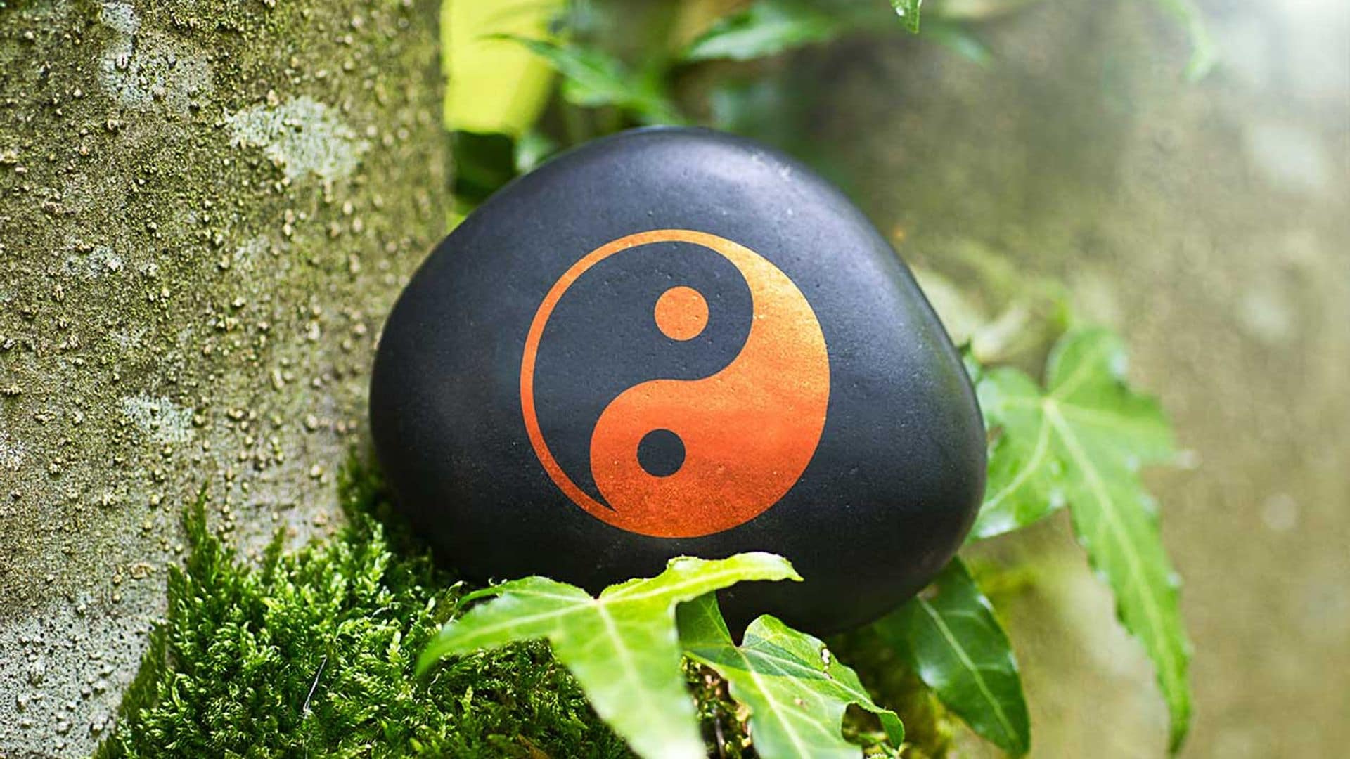 Cómo mantener el equilibrio entre el yin y el yang