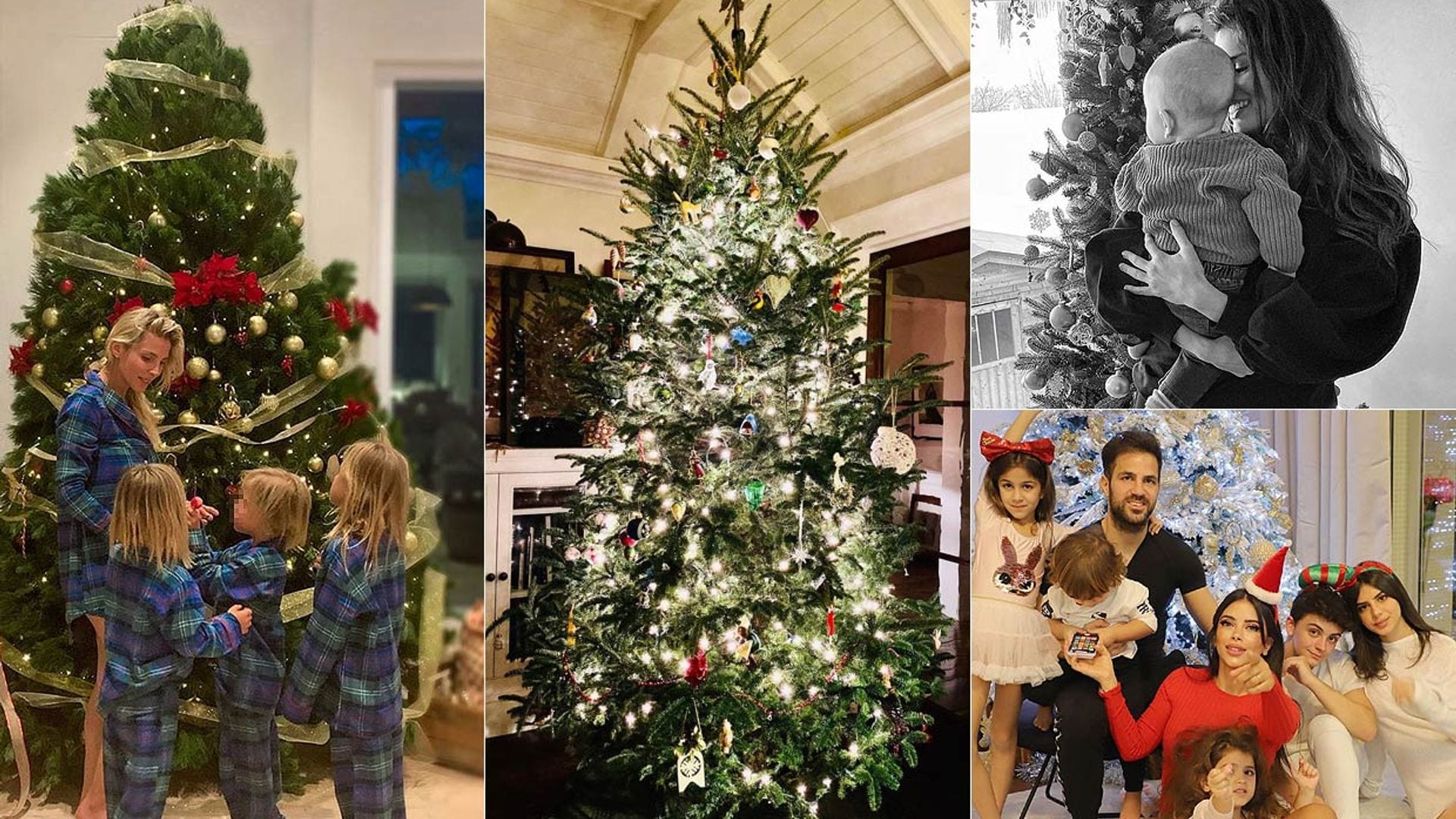 FOTOGALERÍA: Alejandra Gere, la última en mostrar su espectacular árbol de Navidad