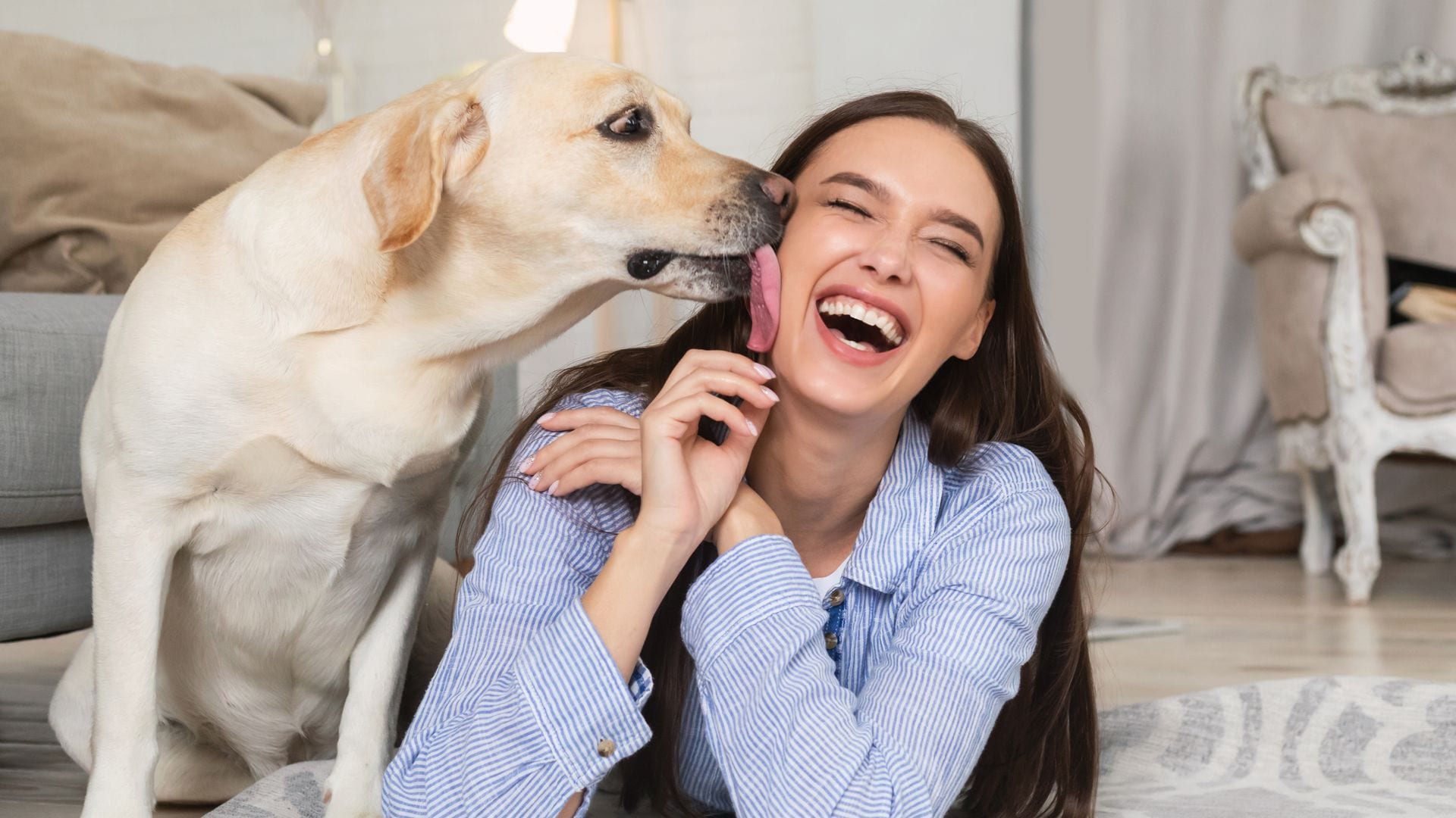 Calma, cariño y compañía: las ventajas de adoptar un animal adulto