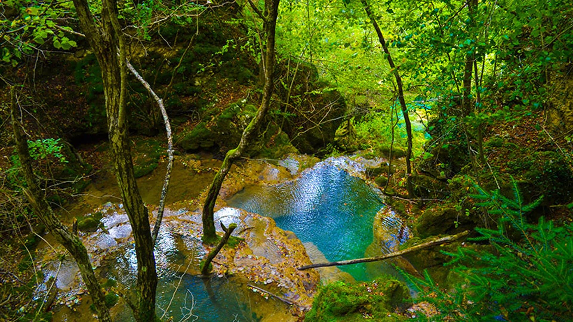 Navarra o cómo vivir la naturaleza en estado puro