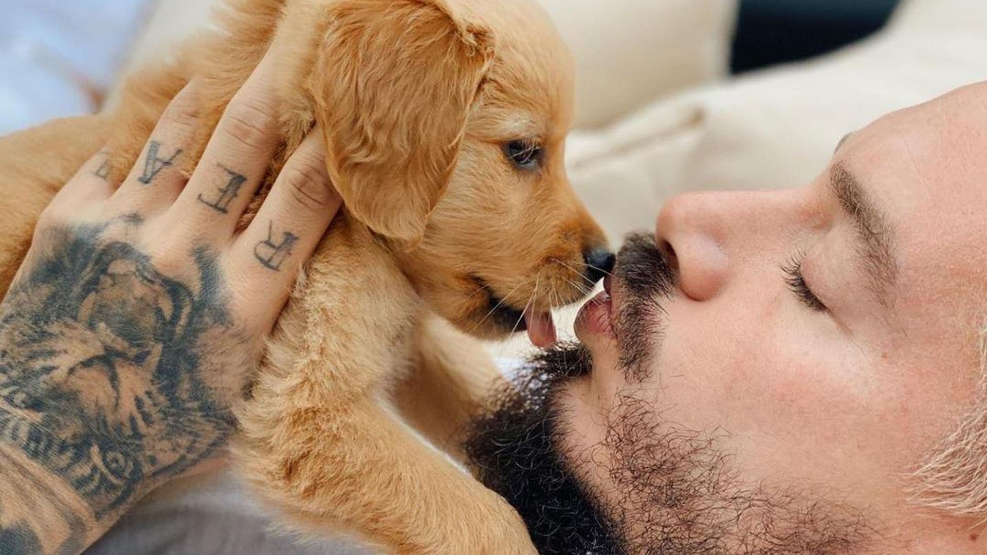 ¡Lo más tierno que verás! J Balvin derrite las redes con su perrita