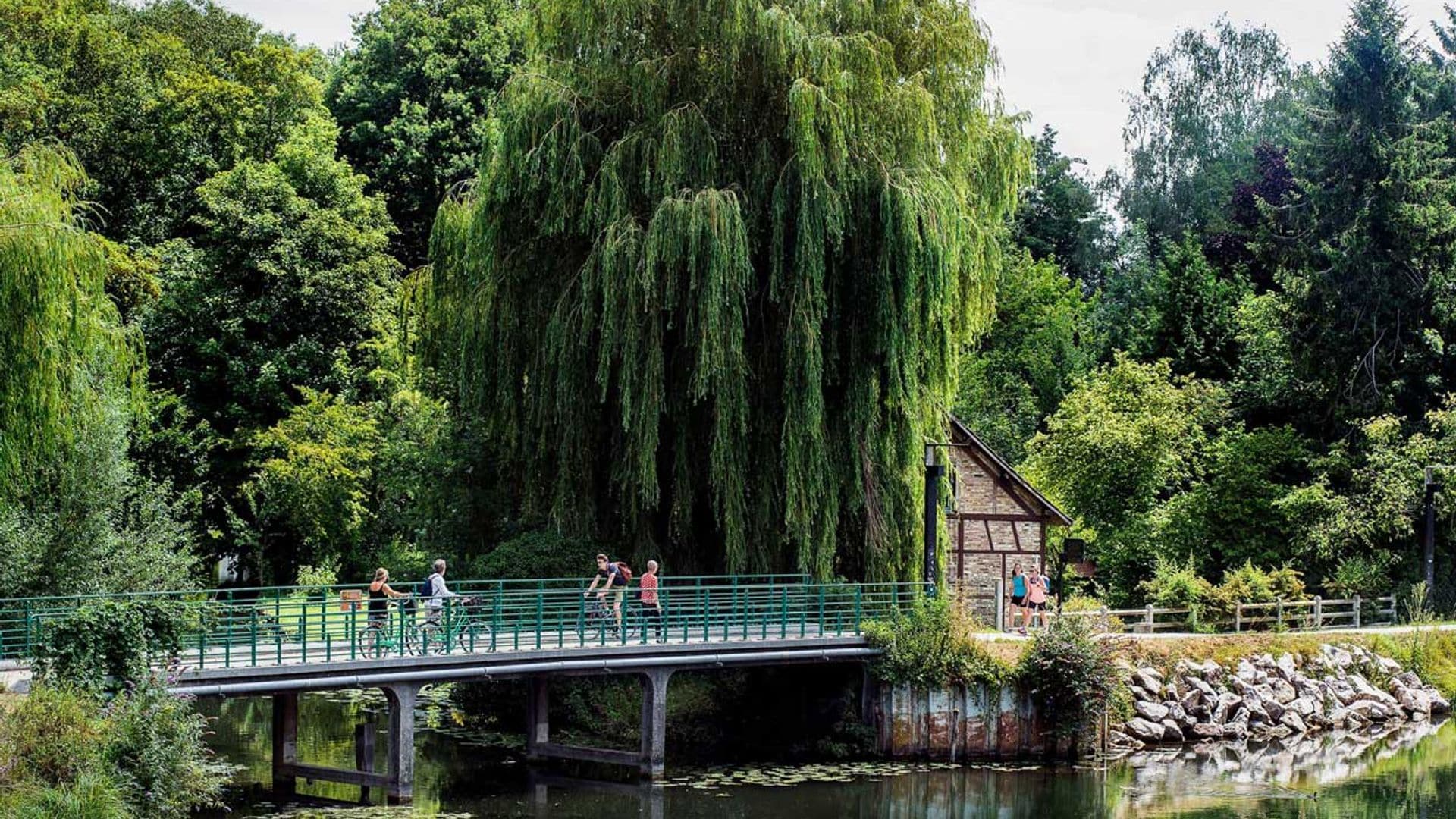 Los jardines flotantes de Hortillonnages o la Venecia verde de Amiens 