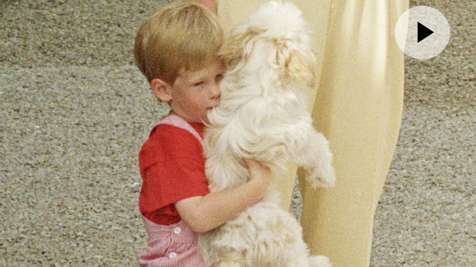 Así de adorable era el príncipe Harry cuando estuvo en España, ¿veremos a su bebé en nuestro país?