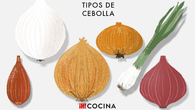 tipos cebolla usos cocina