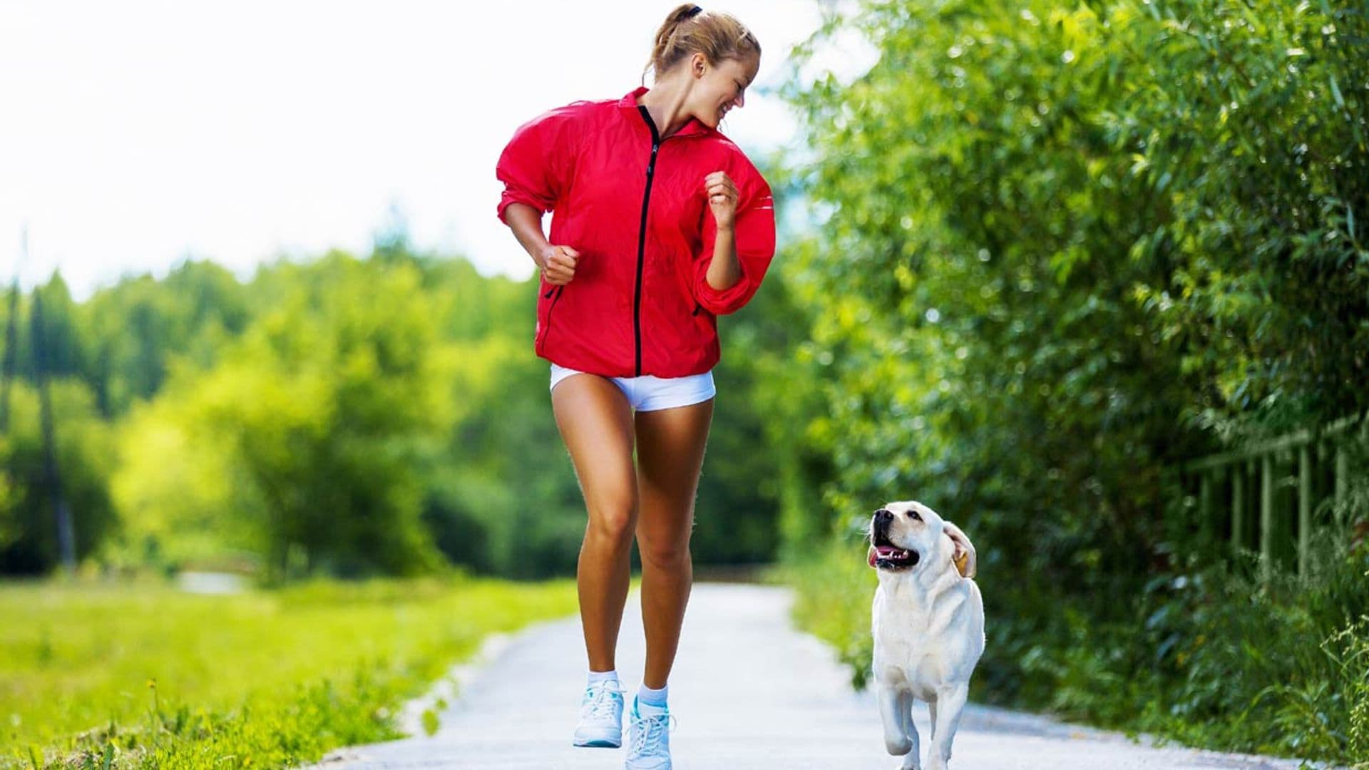 Los 7 deportes más divertidos que puedes practicar con tu mascota