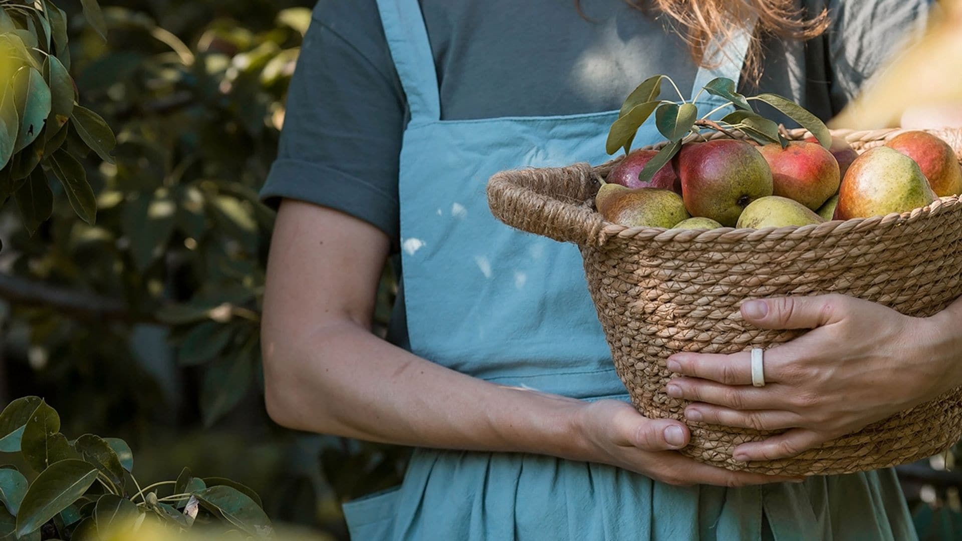 Cómo cuidar los árboles frutales en otoño y mantenerlos sanos