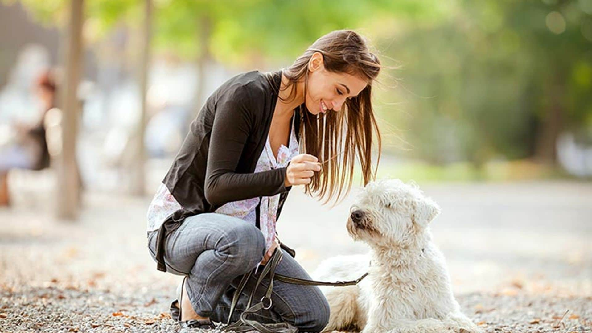 ¿Por qué si tienes una mascota en casa irás menos al médico?