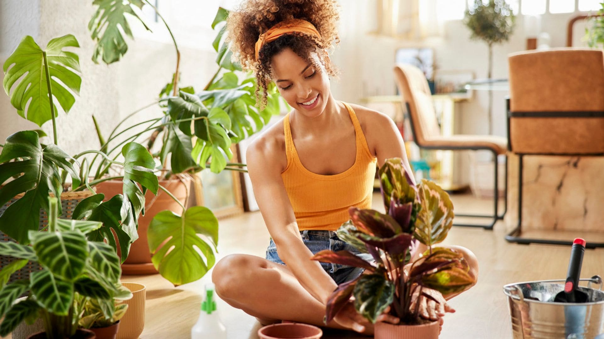 10 productos que tienes en casa y que te ayudan a cuidar tus plantas de interior