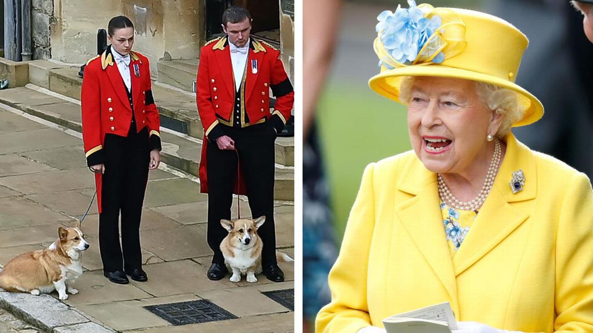 Sarah Ferguson comparte cómo se encuentran los corgis de la reina Isabel II en su nuevo hogar