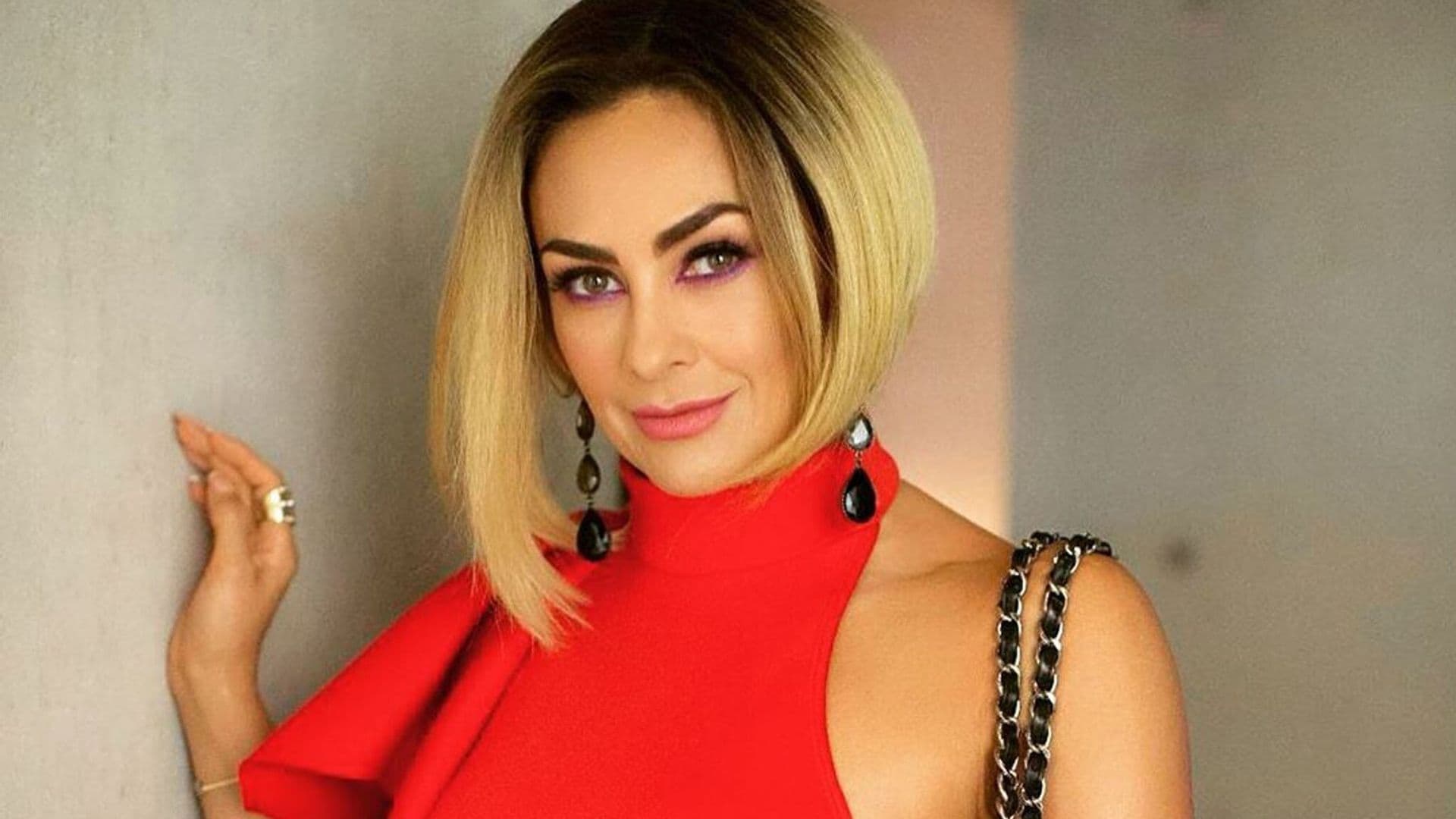 Araceli Arámbula reacciona a las declaraciones de Arturo Carmona sobre su romance