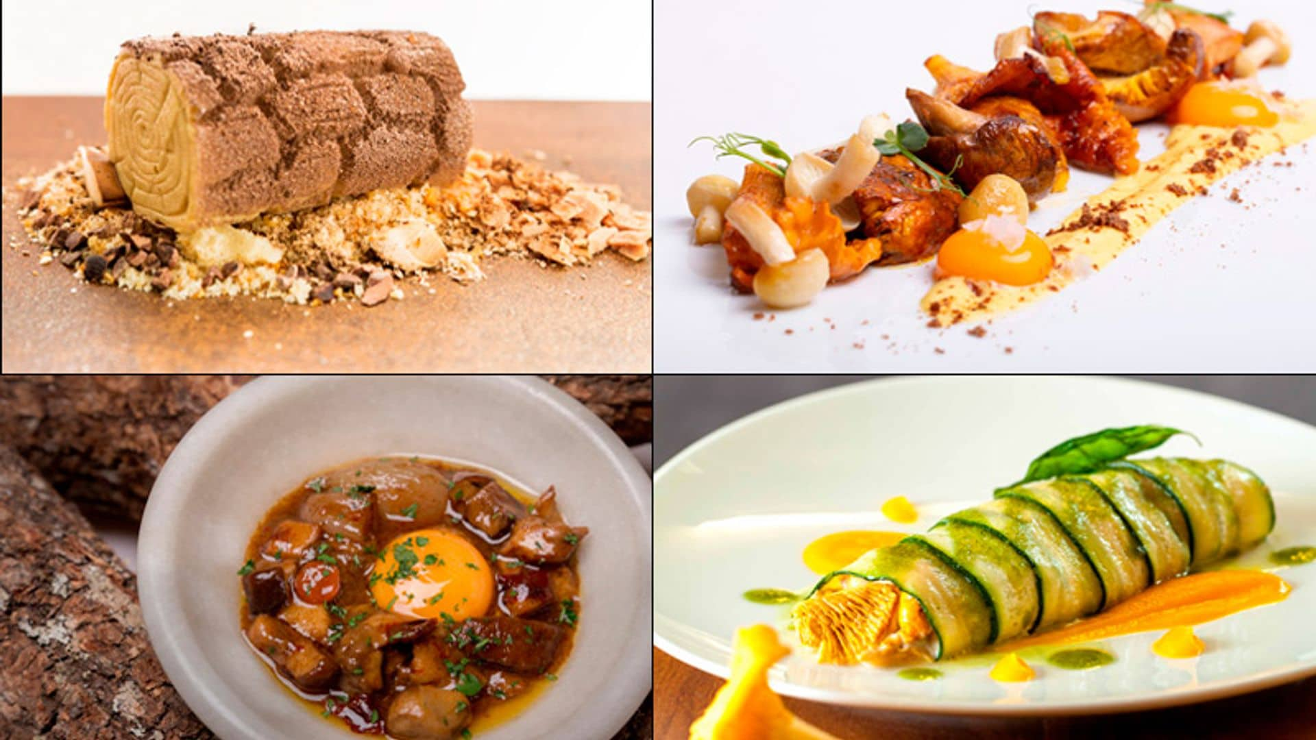 Ruta 'gastro': Las mejores recetas con setas, del bosque al plato